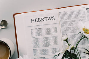 BIBLE The Holy Bible: SKJV [Chestnut Floral]